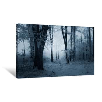 Image of Winter Evening In Snowy Woods Canvas Print