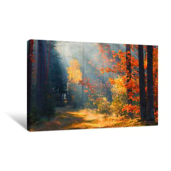 Image of Picturesque Autumn Forest Canvas Print