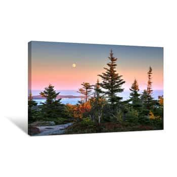 Image of Cadillac Mountain At Acadia National Park In Maine Canvas Print