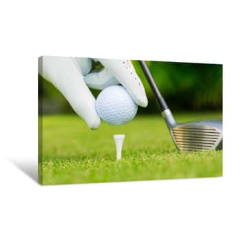 Image of Close Up View Of Golf Ball On Tee On Golf Course Canvas Print