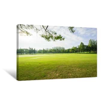 Image of Scenery Green Golf  And Meadow At The Park Canvas Print