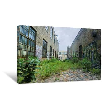 Image of Urban Alley With Overgrown Weeds And Graffiti - Landscape Photo Canvas Print