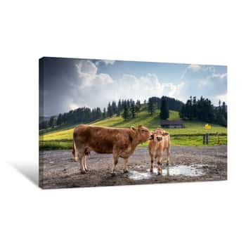 Image of Funny Cattle Family Canvas Print
