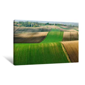 Image of Fields And Agriculture, Spring Countryside, Ponidzie, Poland Canvas Print