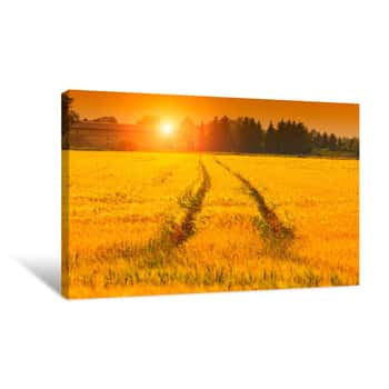 Image of Golden Wheat, Sundown Green Nature, Rich Romantic Harvest Canvas Print