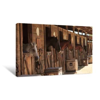 Image of Louisville, Kentucky, United States, — July 2015: Brown Bay Horse View Out The Stable In A Barn Canvas Print