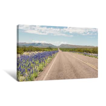 Image of Bluebells, Big Bend National Park, TX Canvas Print