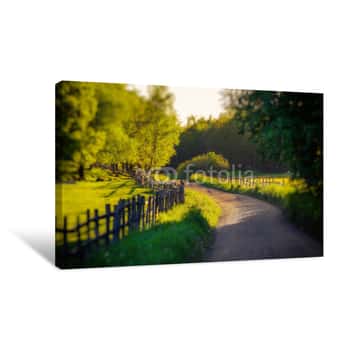 Image of Rural Sweden Summer Landscape With Road, Green Trees And Wooden Fence  Adventure Scandinavian Hipster Eco Concept Canvas Print