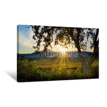 Image of Napa Sunset Canvas Print