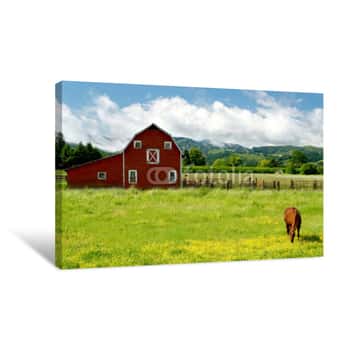 Image of Grazing Horse Canvas Print