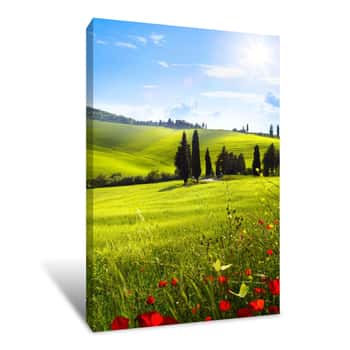 Image of Village In Tuscany; Italy Countryside Landscape With Red Poppy Flowers And Tuscany Rolling Hills ; Sunset Over The Farm Land Canvas Print