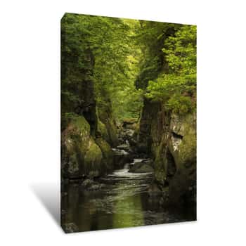 Image of Stunning Ethereal Landscape Of Deep Sided Gorge With Rock Walls And Stream Flowing Through Lush Greenery Canvas Print