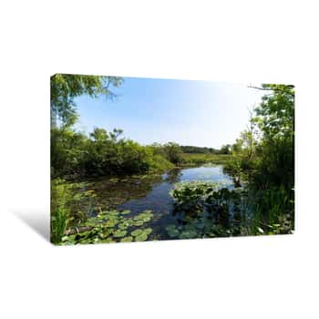 Image of Lily Pads In Lake Canvas Print