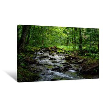 Image of Wild Brook In The Dark Forest  Lovely And Fresh Nature Scenery In Summer Time Canvas Print