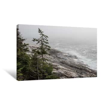 Image of Rocky Coastline Of Maine In The Fog Canvas Print