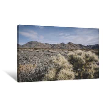 Image of Tranquil View Of Mountains Against Sky With Cactus In Foreground At Desert Canvas Print