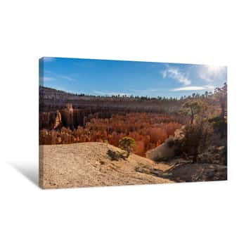 Image of Hoodoos Lit By The Setting Sun In Bryce Canyon National Park, Utah, USA Canvas Print