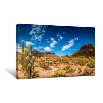 Image of Arizona Desert Landscape - Canvas Print