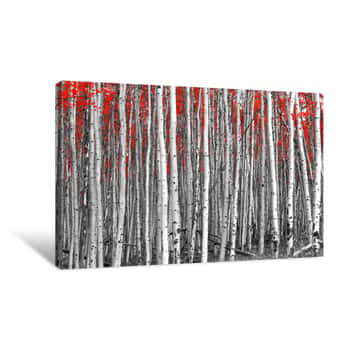 Image of Red Leaves In A Black And White Forest Landscape Canvas Print