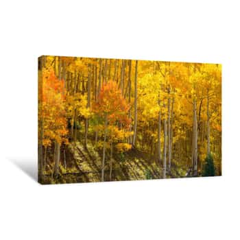Image of Early Autumn Color Canvas Print