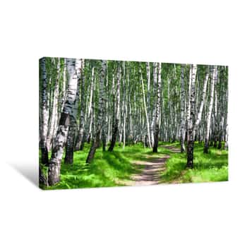 Image of Summer Landscape With The Forest And The Sun Canvas Print