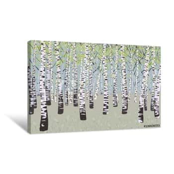Image of Vector Illustration Birch Grove In Spring Time Canvas Print