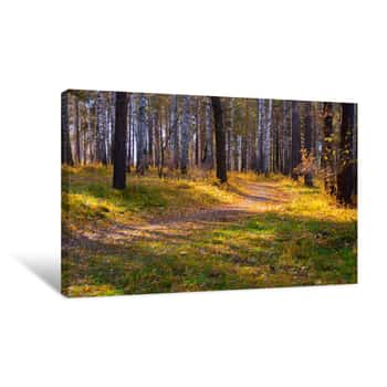 Image of Curved Walking Path In Wild Autumn Forest, Relax Season Scene Canvas Print