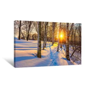 Image of Colorful Sunset In Winter Forest Canvas Print