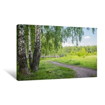 Image of Summer Birch Forest Canvas Print