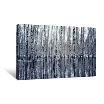 Image of Reflection Of Birch Trees In Water Unusual Frame Canvas Print