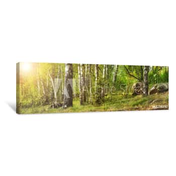 Image of Forest With Birches Canvas Print