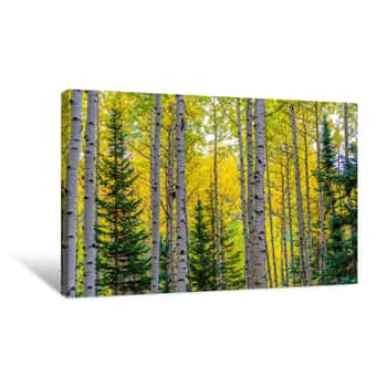 Image of The Trees Canvas Print