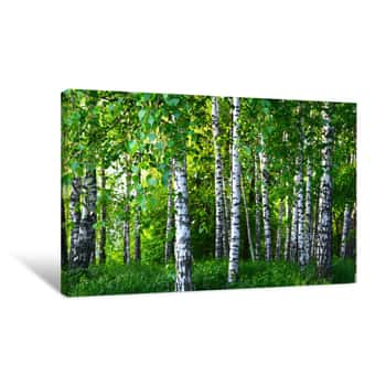 Image of The World With My Eyes Canvas Print