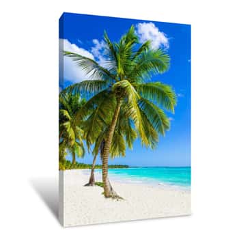 Image of Sandy Beach With Palm Trees, Dominican Republic In Caribbean Canvas Print