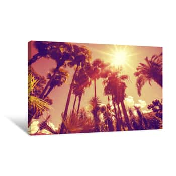 Image of Sun Shining Through Tall Palm Trees  Summer, Fashion, Travel, Vacation, Tourism, Lifestyle And Weather Concept Canvas Print