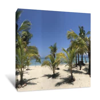 Image of Palm Trees On Beautiful White Sand Beach, Modessa Island, Palawan, Philippines Canvas Print