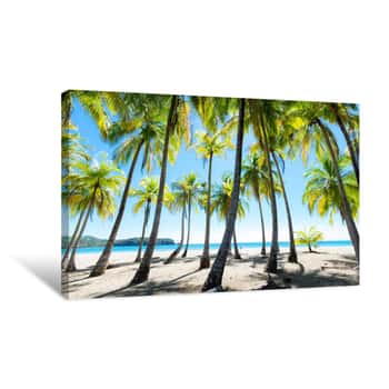 Image of Palms At The Beach In Puerto Carrillo, Costa Rica In Opposite Light  Puerto Carrillo Is A Small Village At The Pacific Coast On The Peninsula Nicoya Canvas Print