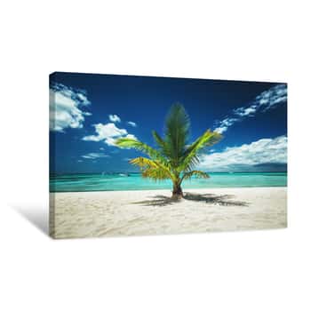 Image of Palm Tree And Tropical Island Beach Canvas Print