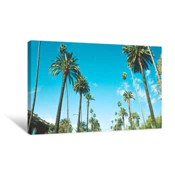 Image of Winter In Los Angeles Canvas Print