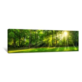 Image of Grünes Wald Panorama Im Sommer Canvas Print