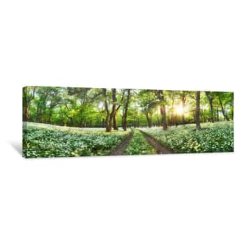 Image of Panorama Of Forest Green Landscape With White Flowers And Path Canvas Print