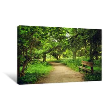 Image of Footpath On The Park Canvas Print