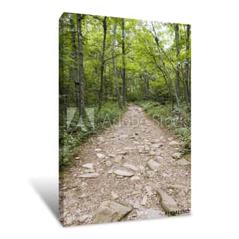 Image of Trail Through Shenandoah National Park, Virginia, USA Canvas Print