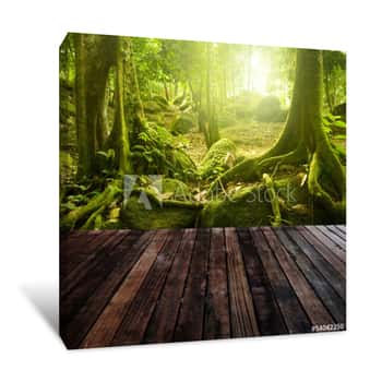 Image of Green Forest Dark Boardwalk Canvas Print