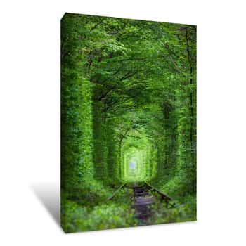 Image of Wonder Of Nature - Real Tunnel Of Love, Green Trees Canvas Print