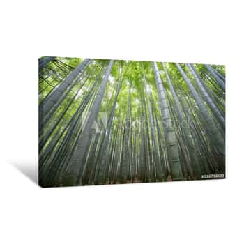 Image of Bamboo Forest At Sagano Arashiyama,Kyoto,tourism Of Japan Canvas Print