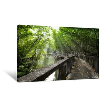 Image of Mangrove Forest With Cement Bridge Walk Way At Koh Chang Island,Thailand Canvas Print