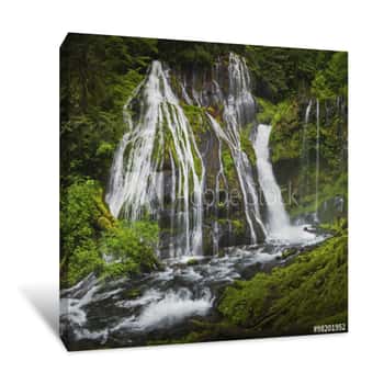 Image of Lush Green Vegetation Surrounds Panther Creek Falls, Washington, USA Canvas Print