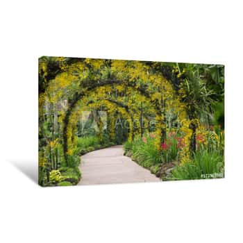 Image of Orchid Flowers Covering An Arbor Walkway, Singapore Botanic Gardens Canvas Print