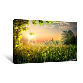 Image of Summer Beautiful Sunset Canvas Print